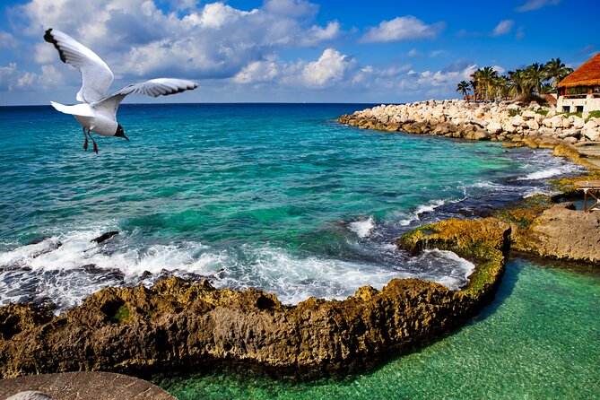 Xcaret Park Plus Tour! Nature, Culture and Nightshow from Cancun - México Espectacular and the late finish
