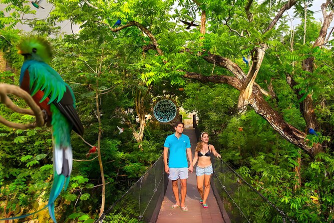 Xcaret Park Plus Tour! Nature, Culture and Nightshow from Cancun - The early start and shared ride from Cancun