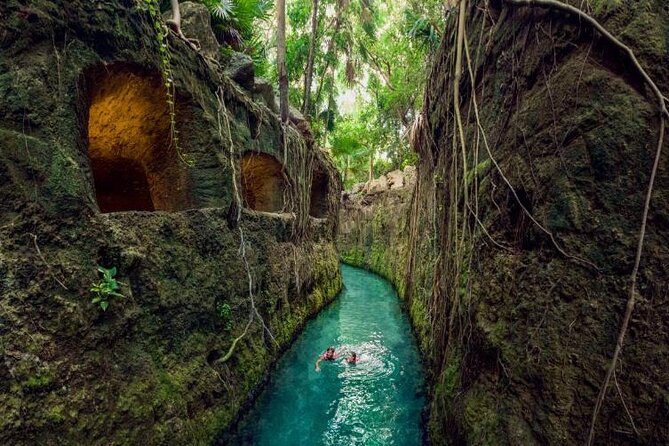 Xcaret Park Tickets Roundtrip Included from Cancun - Aquarium, Aviary, and Butterfly Pavilion