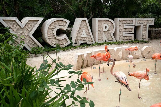 Xcaret Plus Full Day Tour - Buffet lunch gives the ticket more value
