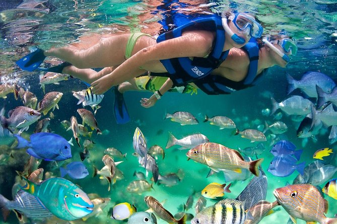 Xel ha All Inclusive - Key points to know before you go