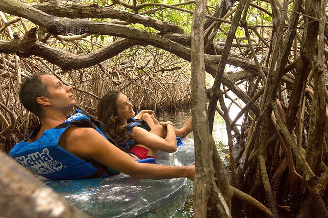 Xel-Ha Natural Park Tour - Timing, energy, and who should book