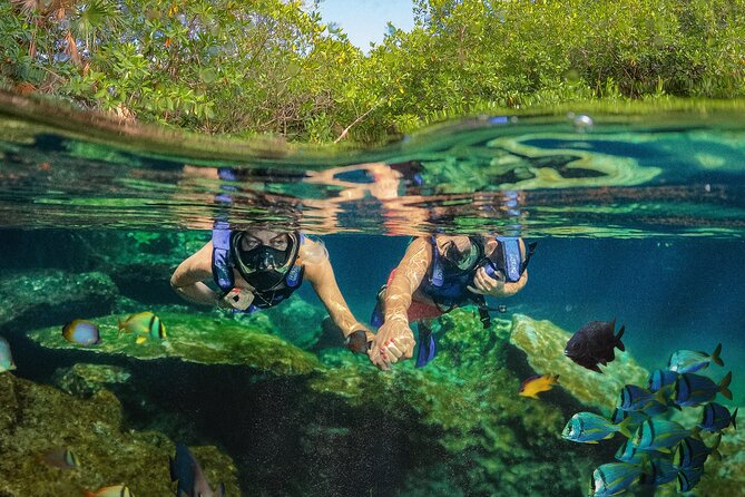 Xel-Ha Park Admission Tickets - Snorkeling is easy, but keep expectations realistic