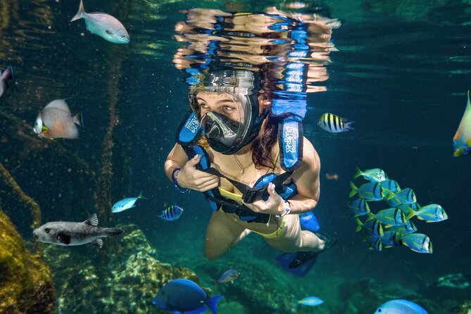 Xel-Ha Tickets with Transportation included - What a day at Xel-Há really feels like