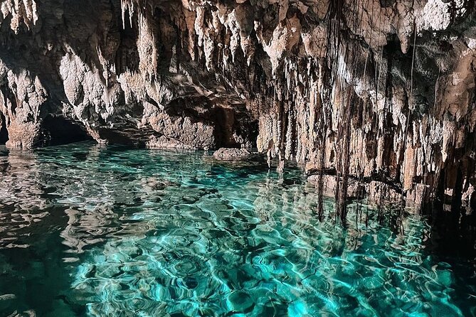 Zapote Cenotes Adventure Tour Prehistoric Park - Cheche Grandfather Cenote and its ancient formations